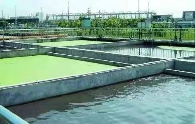 环境监测：守护绿水青山的科技之眼
